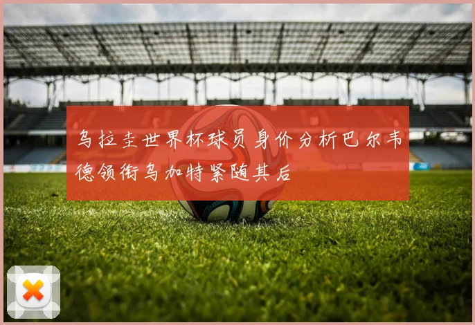 乌拉圭世界杯球员身价分析巴尔韦德领衔乌加特紧随其后