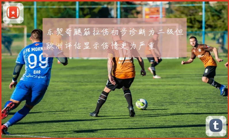 东契奇腿筋拉伤初步诊断为二级但欧洲评估显示伤情更为严重