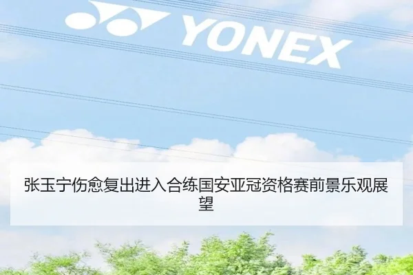 张玉宁伤愈复出进入合练国安亚冠资格赛前景乐观展望 - SANYI